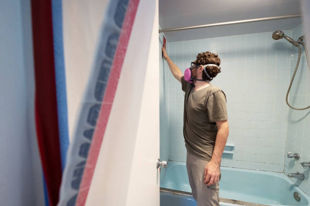 Best Residential Mold Inspection & Testing  in Lavalette, WV
