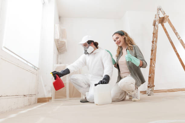 Trusted Lavalette, WV Mold Removal Experts